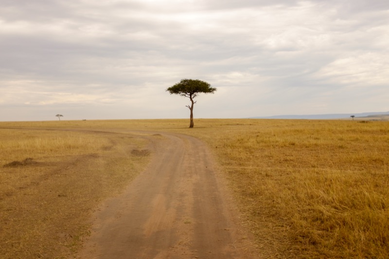 Landscape photography